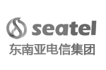 東南亞電信集團