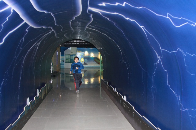 <a href='http://www.ufjjt.com/' target='_blank'><u>氣象科普館</u></a>