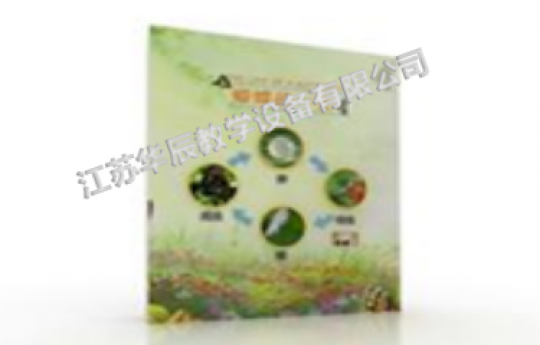 【兒童樂園展品】蝴蝶的一生