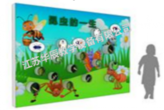 【兒童樂園展品】毛毛蟲的一生